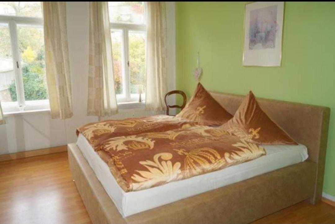 Pension Und Ferienwohnung Stadt Altenburg Esterno foto